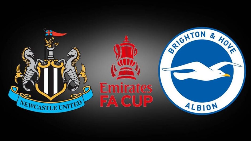 newcastle - brighton