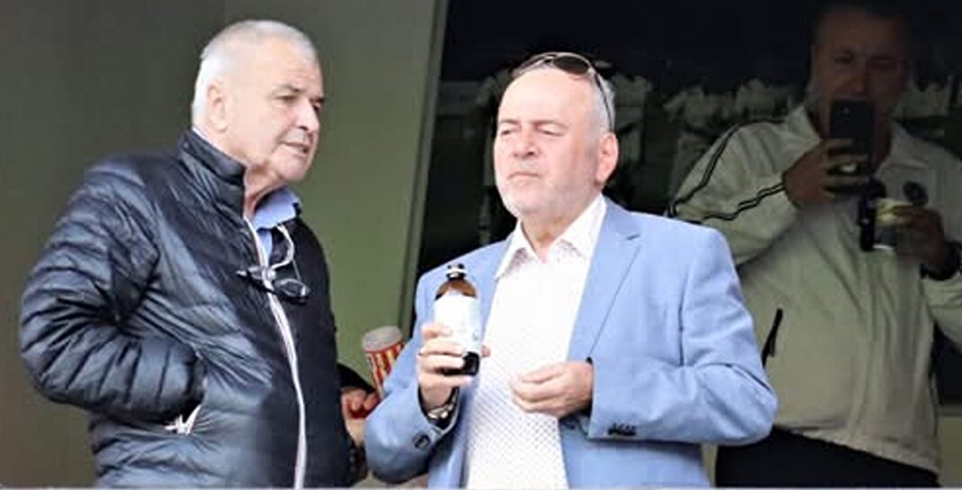 gheorghe ștefan